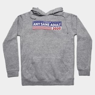 Literally ANY SANE ADULT 2020 Hoodie